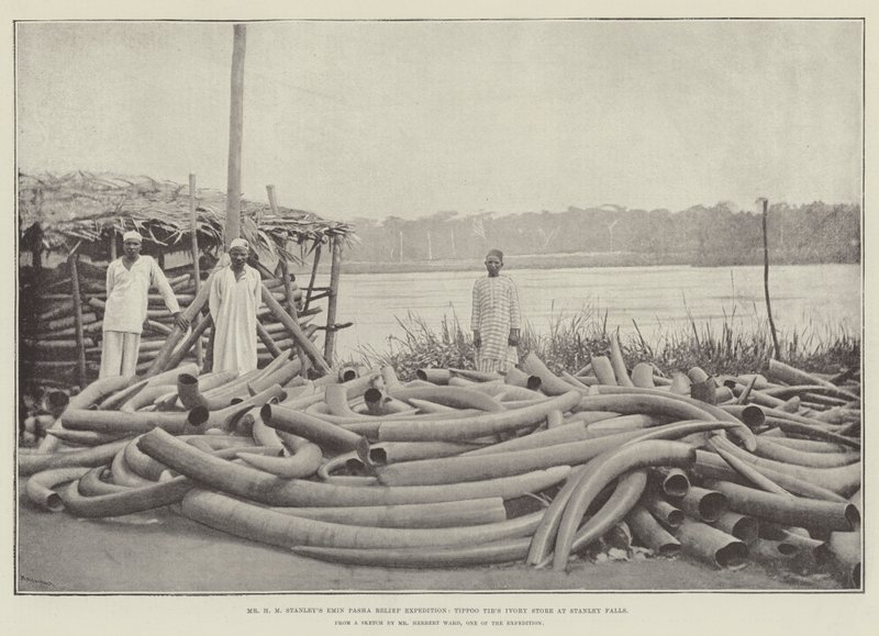 Mr H M Stanleys Emin Pasha Relief Expedition, Tippoo Tibs Ivory Store vid Stanley Falls av English Photographer