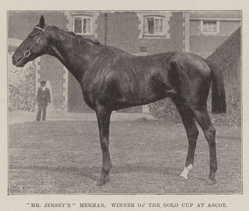 Mr Jerseys Merman, vinnare av Gold Cup på Ascot av English Photographer