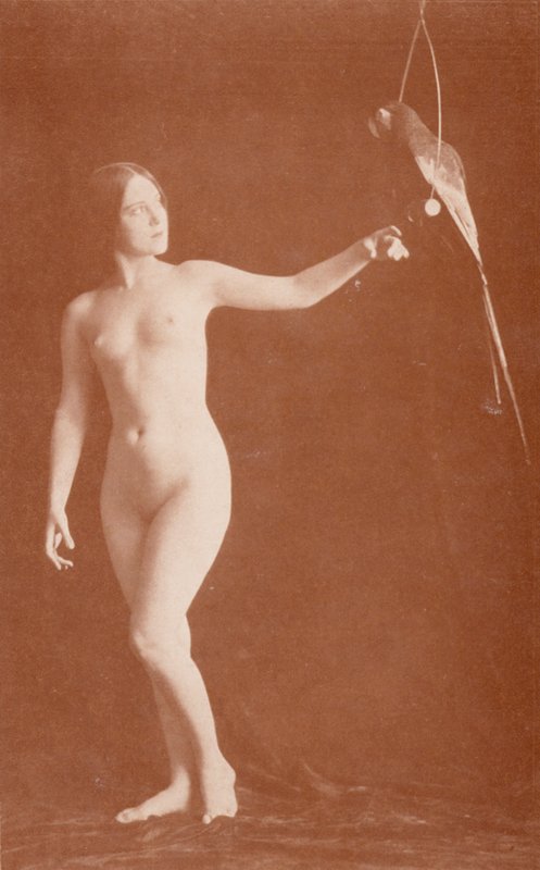 Nudistkonst: Övertalning (svartvitt foto) av English Photographer