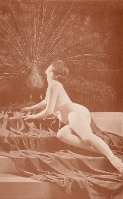 Nudistkonst: Envy (svartvitt foto) av English Photographer