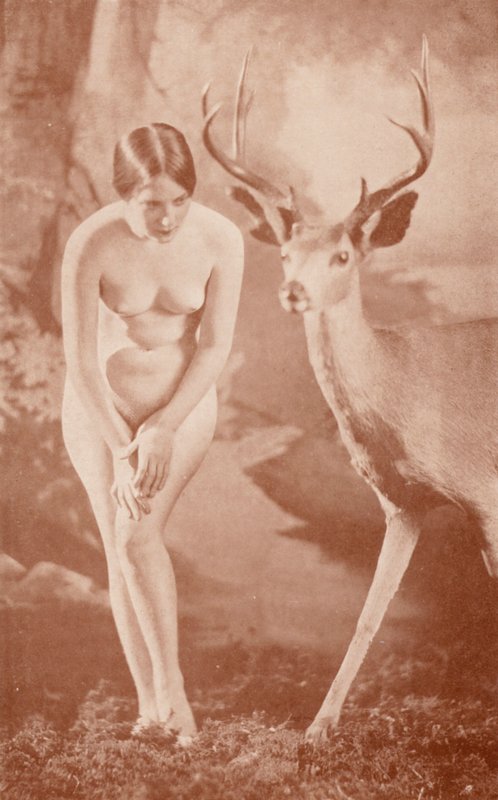 Nudistkonst: Skogsidyll (svartvitt foto) av English Photographer
