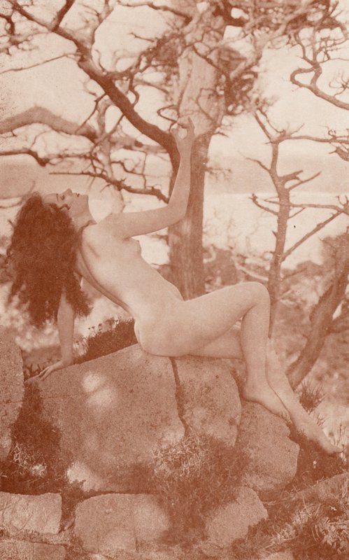 Nudistkonst: Tanglewood (svartvitt foto) av English Photographer