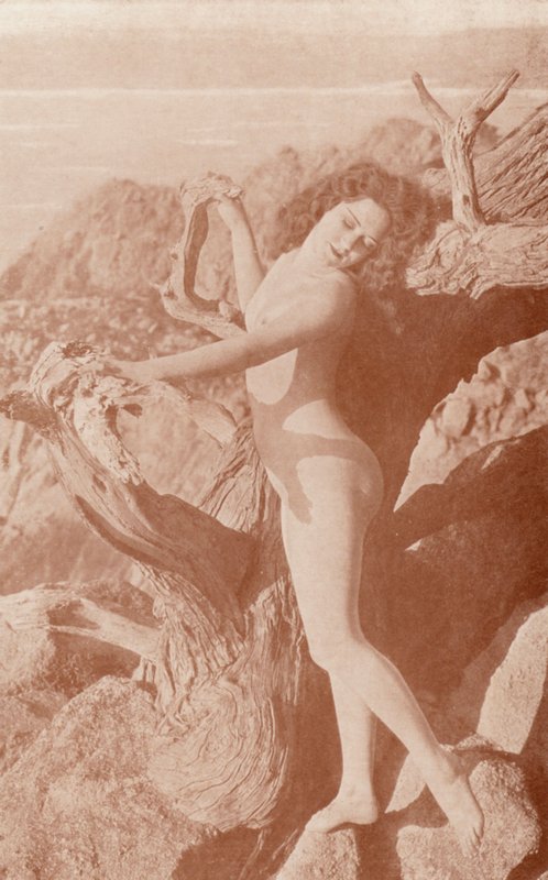 Nudistkonst: The Shadow (svartvitt foto) av English Photographer