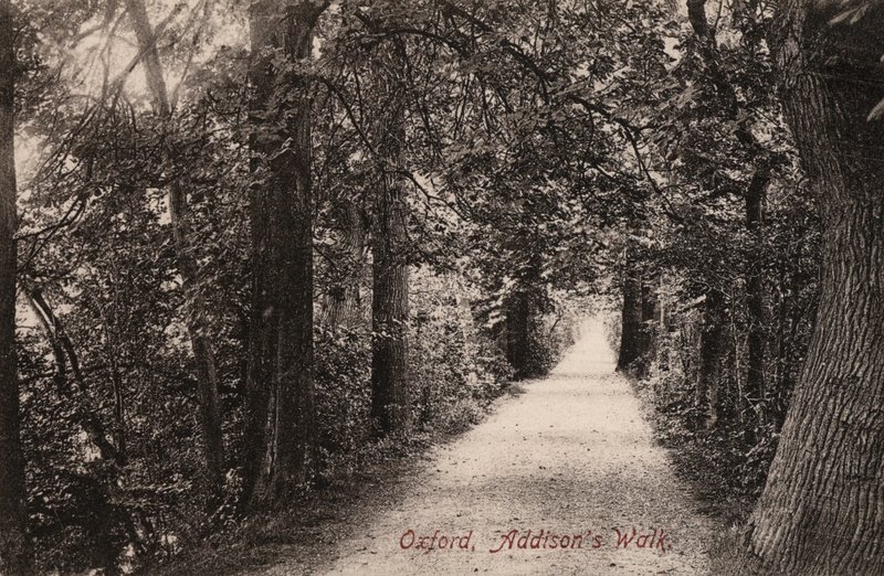 Oxford, Addisons Walk (s/v foto) av English Photographer
