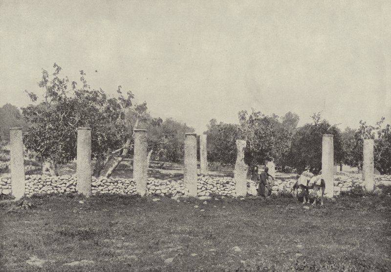 Herodes palats, Samaria, Resterna av palatset, byggt av Herodes för att hedra Augustus av English Photographer