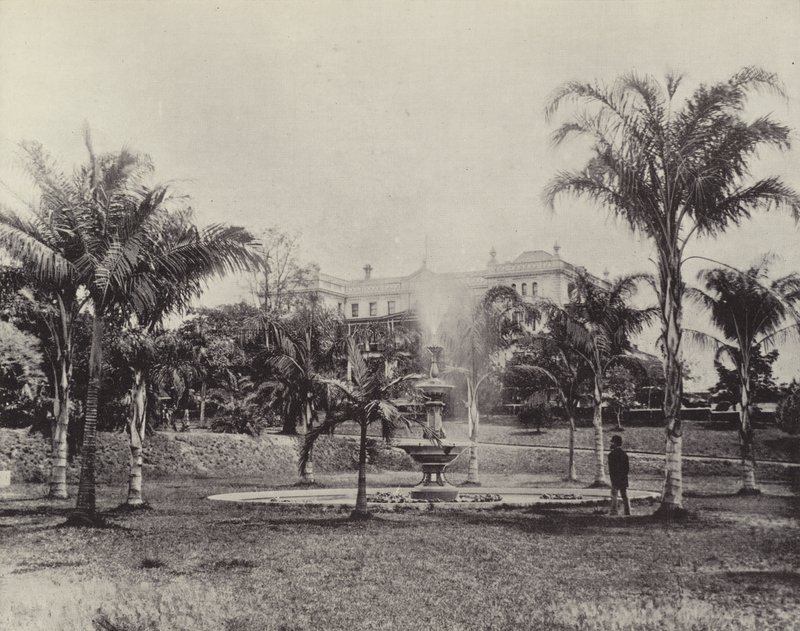 Palmer och fontän, botaniska trädgårdar, Brisbane av English Photographer