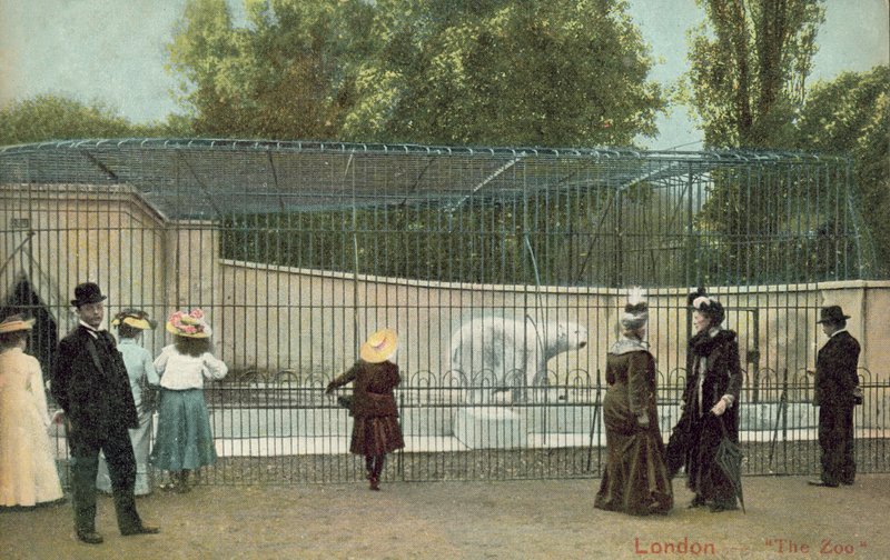 Människor som besöker isbjörnshägnet på London Zoo (foto) av English Photographer