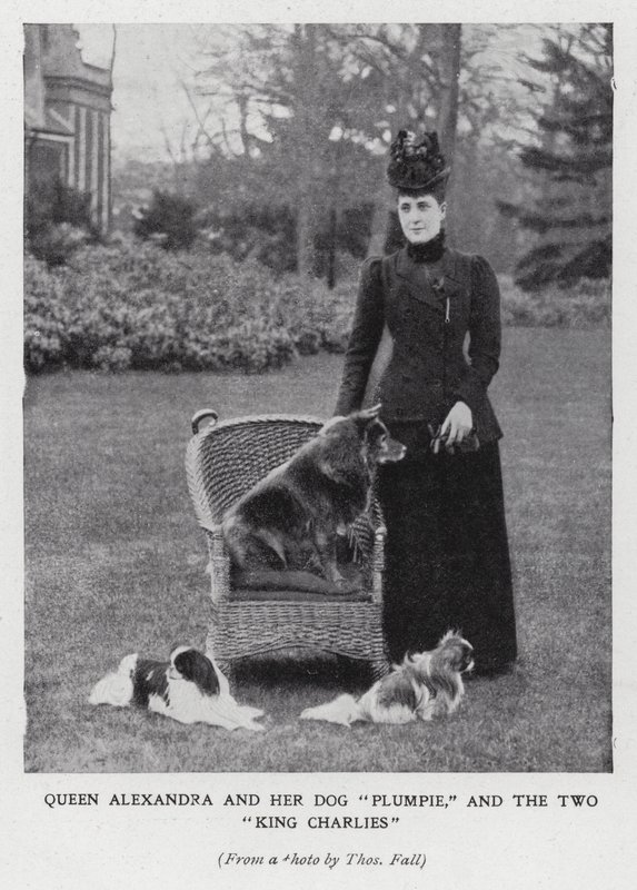 Drottning Alexandra med sin hund, Plumpie, och sina två King Charles spaniels (s/v foto) av English Photographer