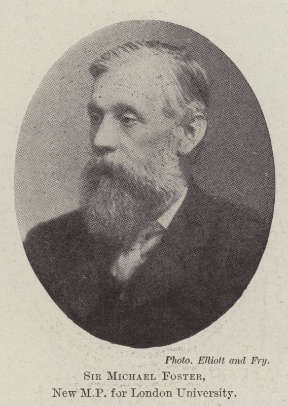Sir Michael Foster, ny MP för London University av English Photographer