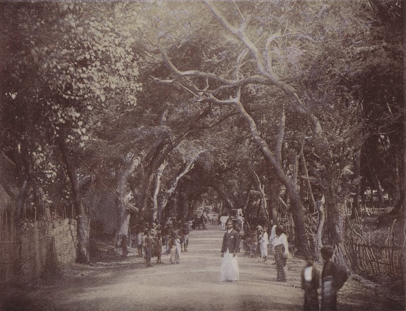 Skinners Road, Colombo (färgad bild) av English Photographer