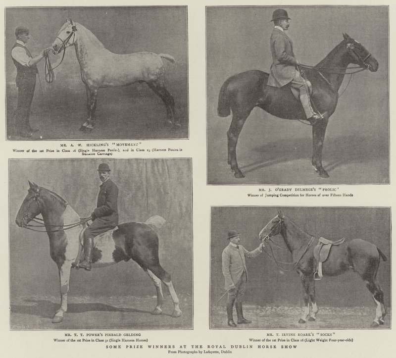 Några pristagare på Royal Dublin Horse Show av English Photographer