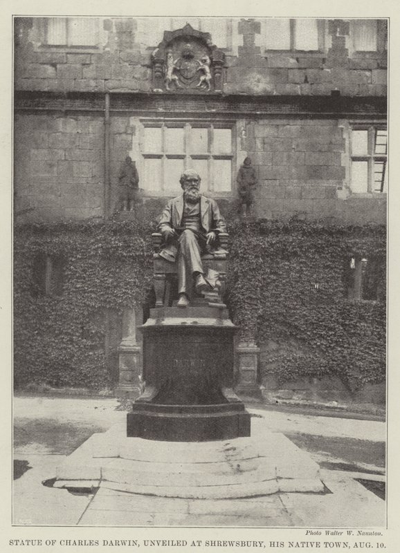 Staty av Charles Darwin, avtäckt i Shrewsbury, hans hemstad, 10 augusti av English Photographer