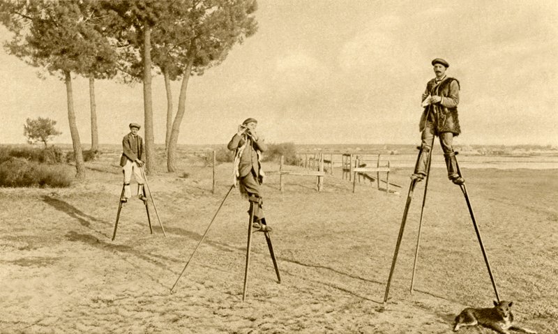 Styltor (svartvitt foto) av English Photographer
