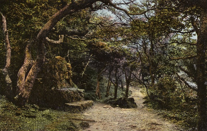 Stone Seat, Jordslipan av English Photographer