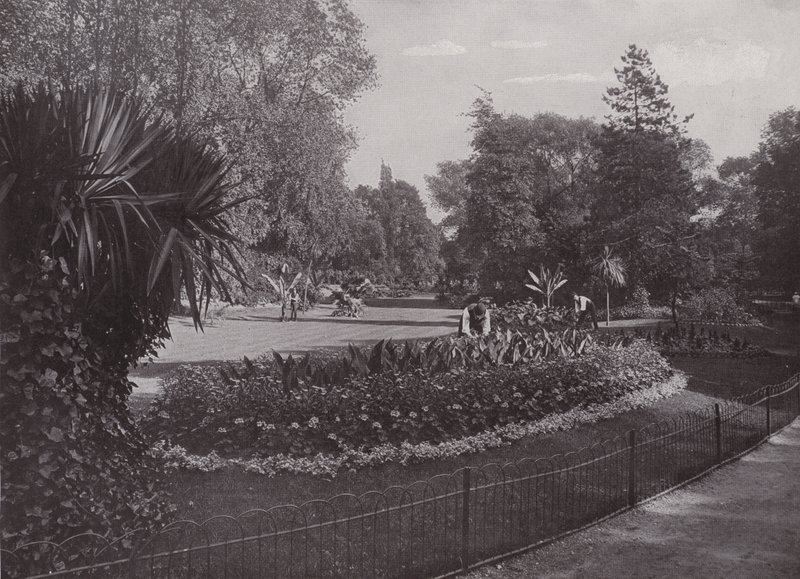 Subtropiska trädgårdar, Battersea Park av English Photographer