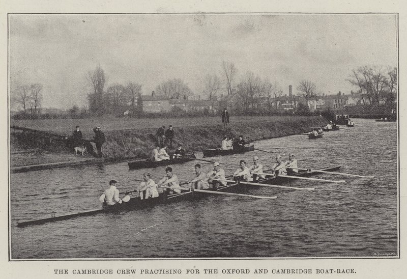 Cambridge Crew övar för Oxford och Cambridge Boat-Race av English Photographer