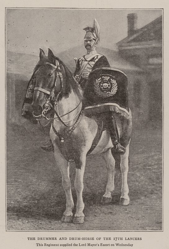 17th Lancers trummis och trumhäst av English Photographer