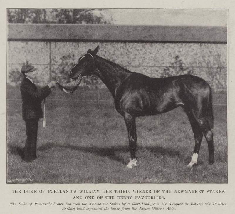 Hertigen av Portlands William den tredje, vinnare av Newmarket Stakes och en av derbyfavoriterna av English Photographer