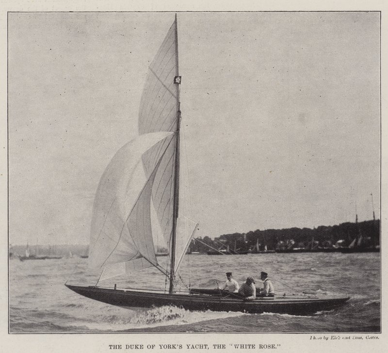 Duke of Yorks Yacht, den vita rosen av English Photographer