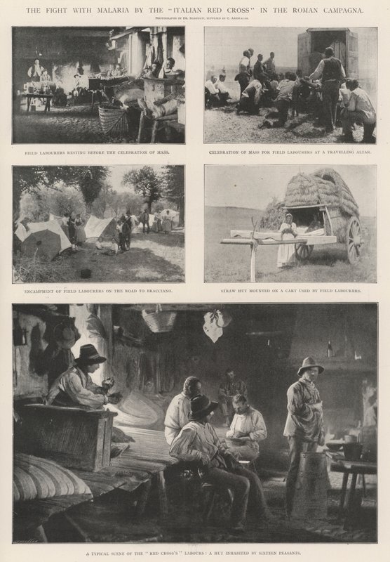 Kampen mot malaria av Italienska Röda Korset i den romerska Campagna av English Photographer