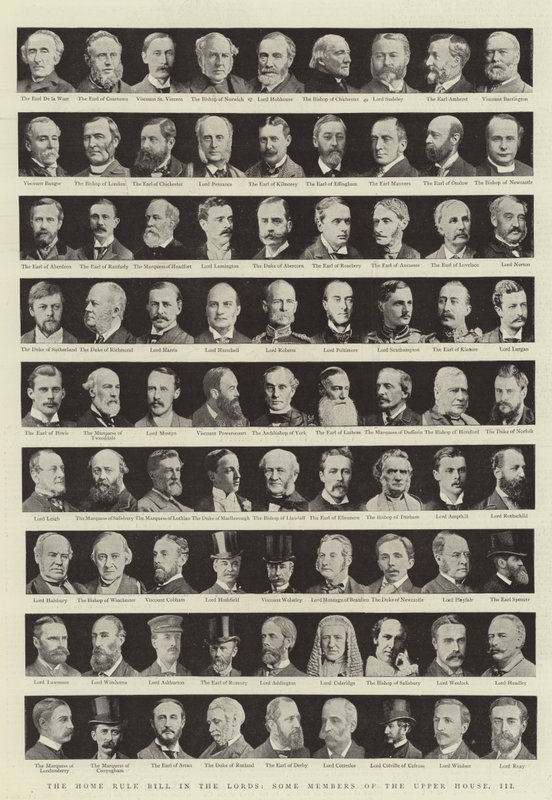 The Home Rule Bill i Lords, Some Members of the Upper House, III av English Photographer
