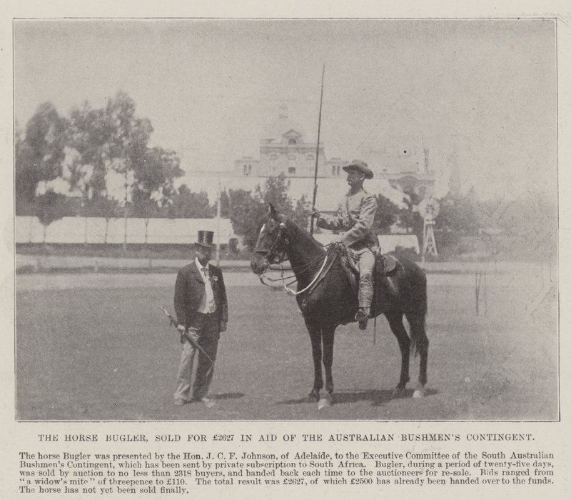 The Horse Bugler, såld för £2627 i Aid of the Australian Bushmens Contingent, Adelaide. Illustration för The Illustrated London News, 26 maj 1900 av English Photographer