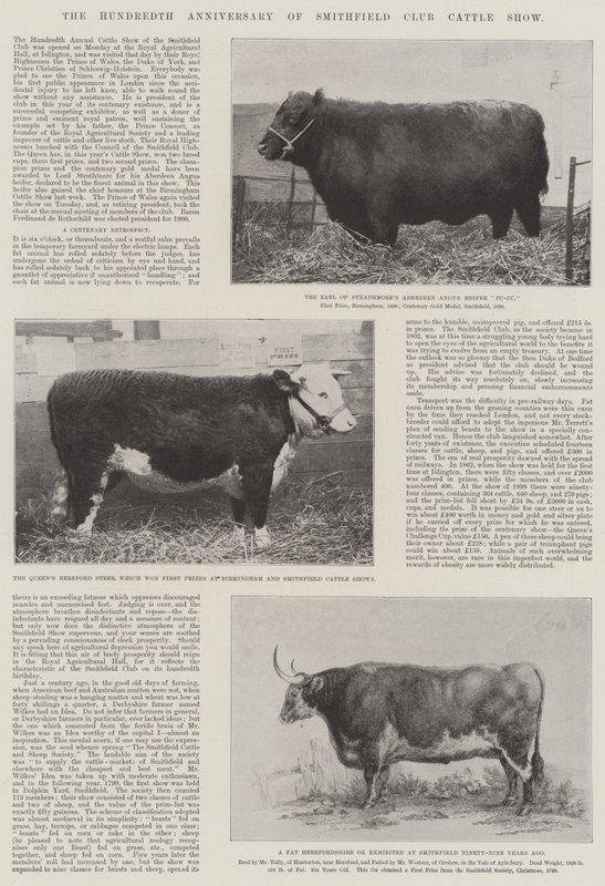 Hundraårsdagen av Smithfield Club Cattle Show av English Photographer