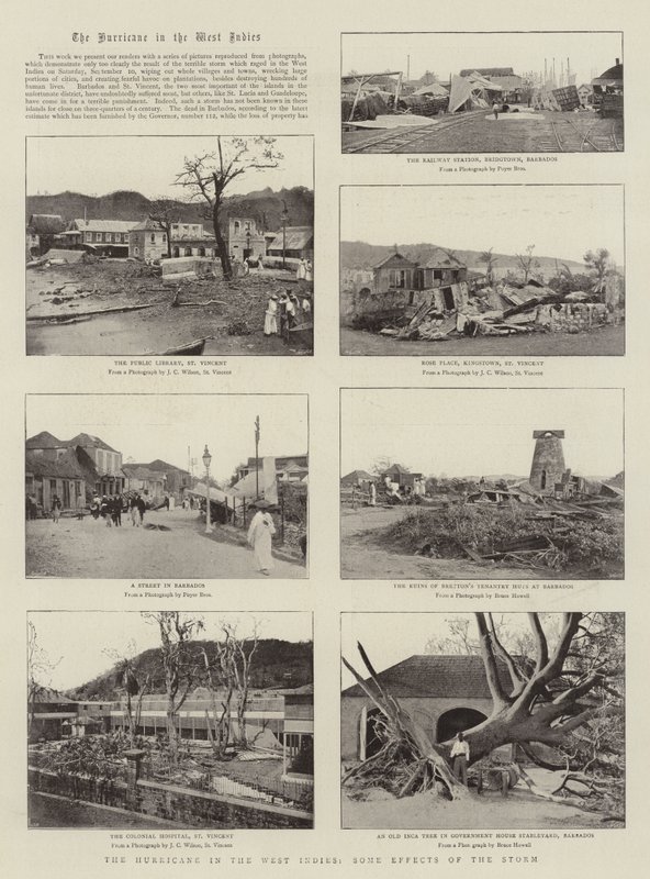 Orkanen i Västindien, några effekter av stormen av English Photographer