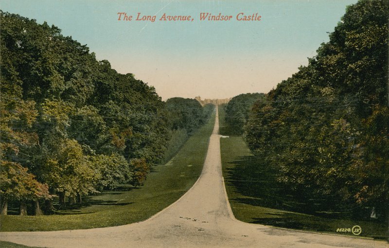 The Long Avenue, Windsor Castle i England. Vykort skickat 1913. av English Photographer