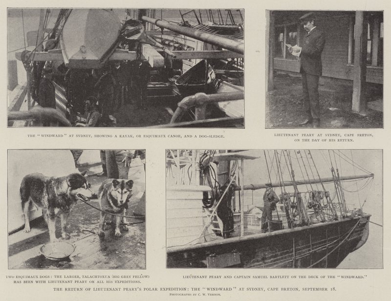 The Return of Lieutenant Pearys Polar Expedition, Windward i Sydney, Cape Breton, 18 september av English Photographer