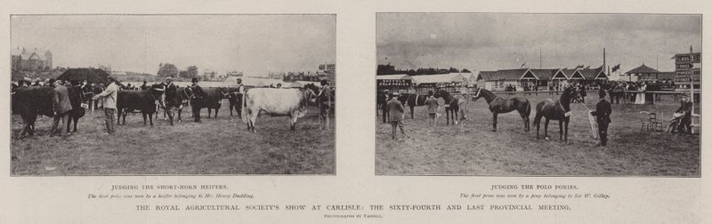 Royal Agricultural Society Show i Carlisle, det sextiofjärde och sista provinsmötet av English Photographer