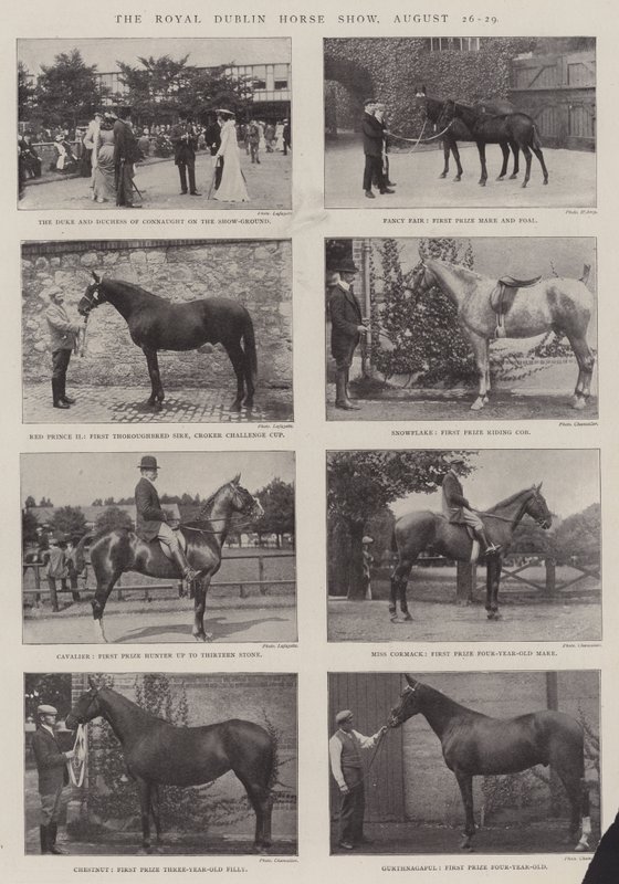 The Royal Dublin Horse Show, 26-29 augusti av English Photographer