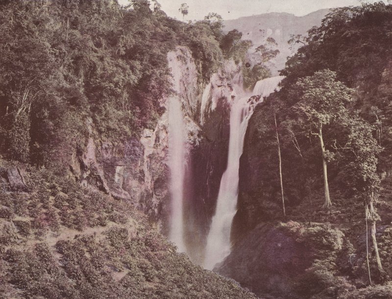 The Twin Falls (kaffe växer i förgrunden), Ceylon (färgad bild) av English Photographer