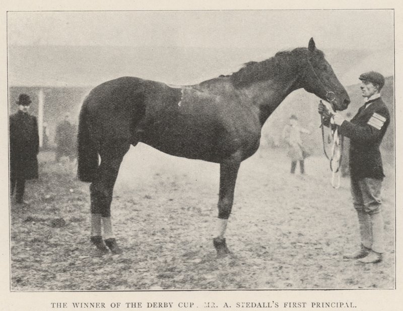 Vinnaren av Derby Cup, Mr A Stedalls First Principal av English Photographer
