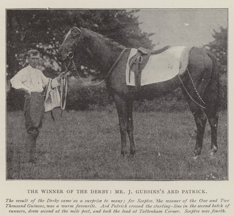 Vinnaren av Derbyt, Mr J Gubbinss Ard Patrick av English Photographer