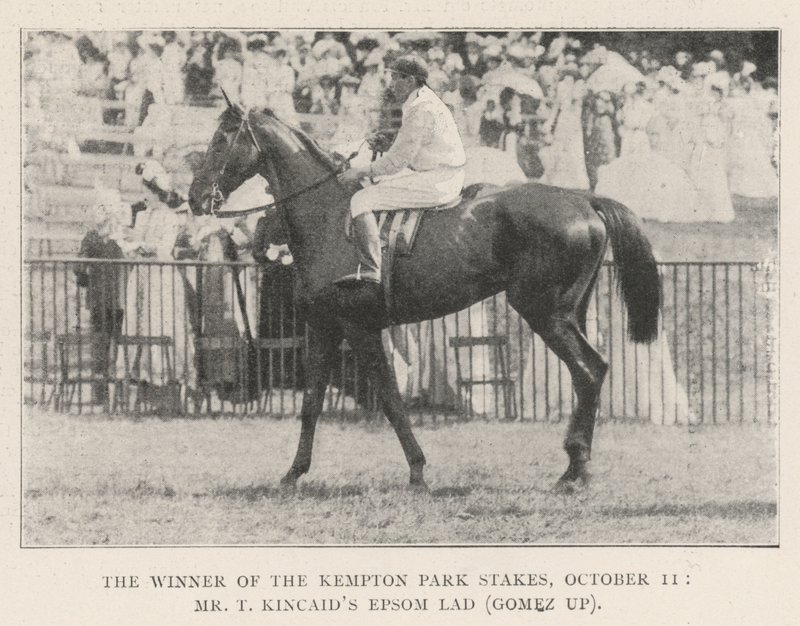 Vinnaren av Kempton Park Stakes, 11 oktober, Mr T Kincaids Epsom Lad (Gomez upp) av English Photographer