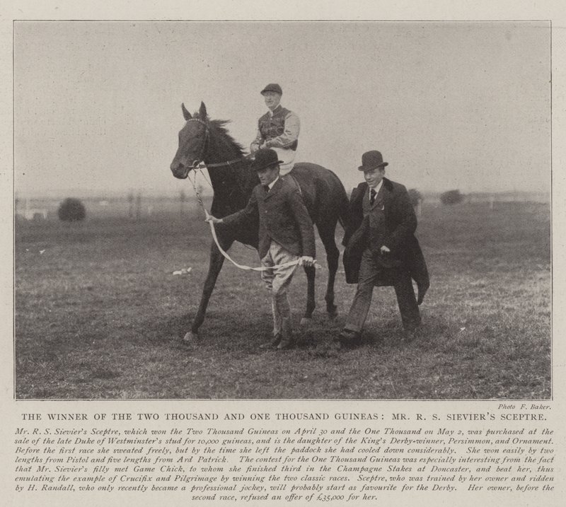 Vinnaren av tvåtusen och ett tusen Guineas, Mr R S Sieviers Scepter av English Photographer