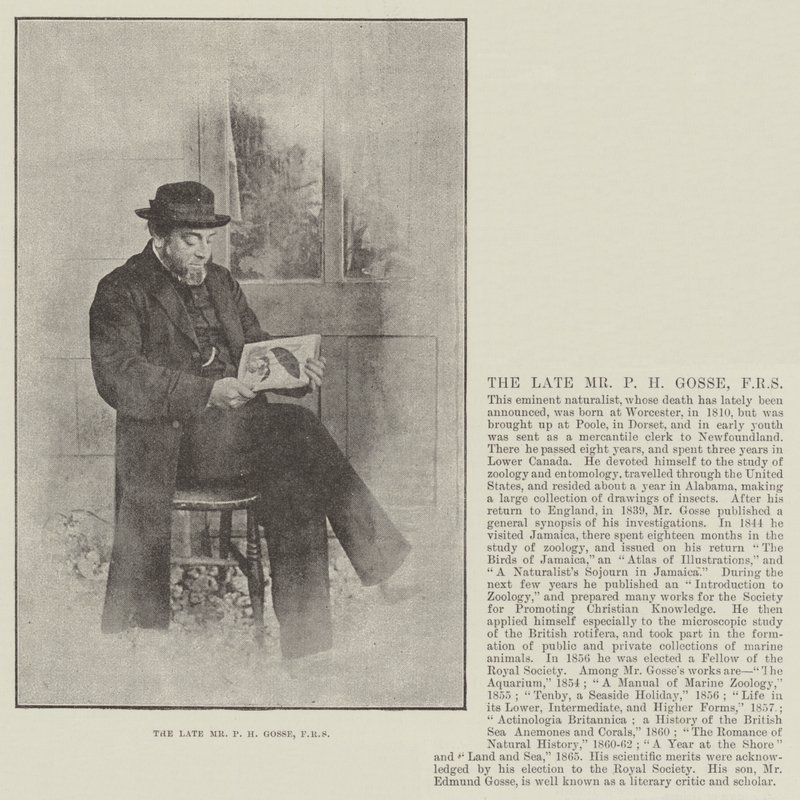 Framlidne herr P H Gosse, FRS av English Photographer