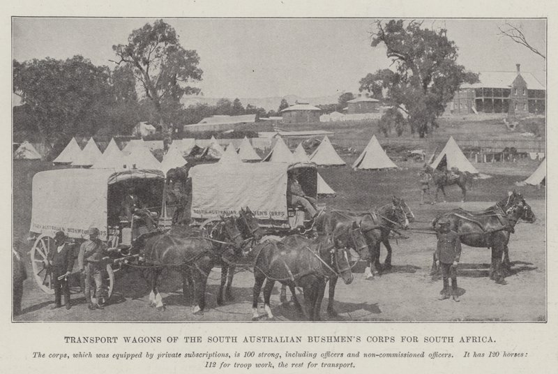 Transportvagnar från South Australian Bushmens Corps för Sydafrika av English Photographer