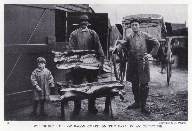 Wiltshire-sidor av bacon botade på gården i ett utedass (s/v foto) av English Photographer