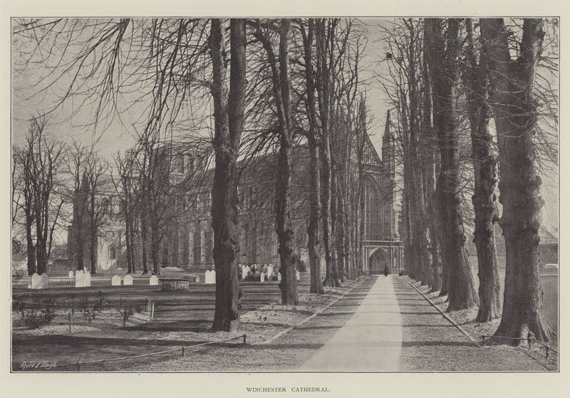 Winchester Cathedral av English Photographer