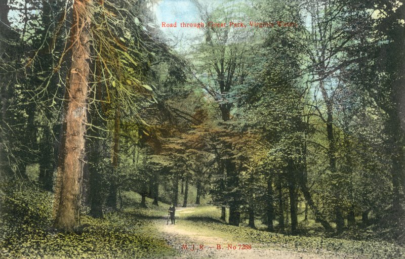 Windsor Great Park, Virginia Water (färgfoto) av English Photographer