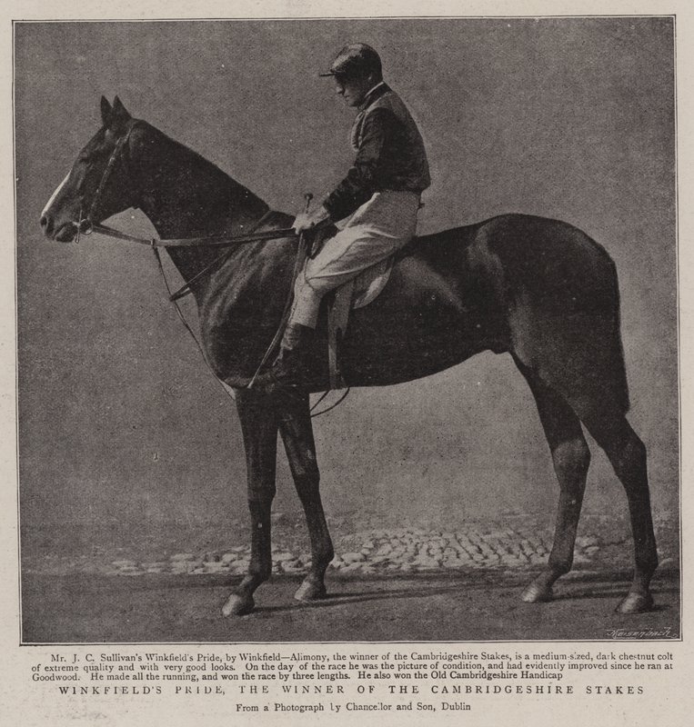 Winkfields Pride, vinnaren av Cambridgeshire Stakes av English Photographer