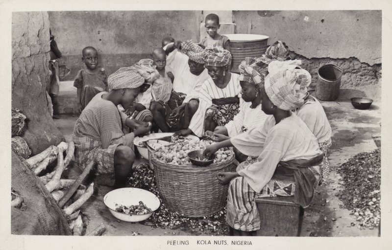 Kvinnor som skalar kolanötter, Nigeria (s/v foto) av English Photographer