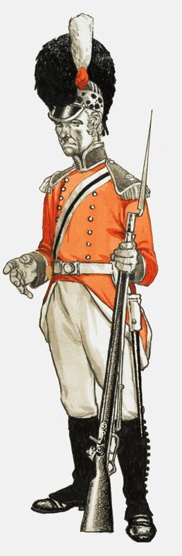 92:a. Hon. Artillery Co. Infanteridivisionen, menig 1803 av English School