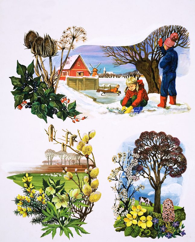 En kalender med växter, illustration från "Once Upon a Time av English School