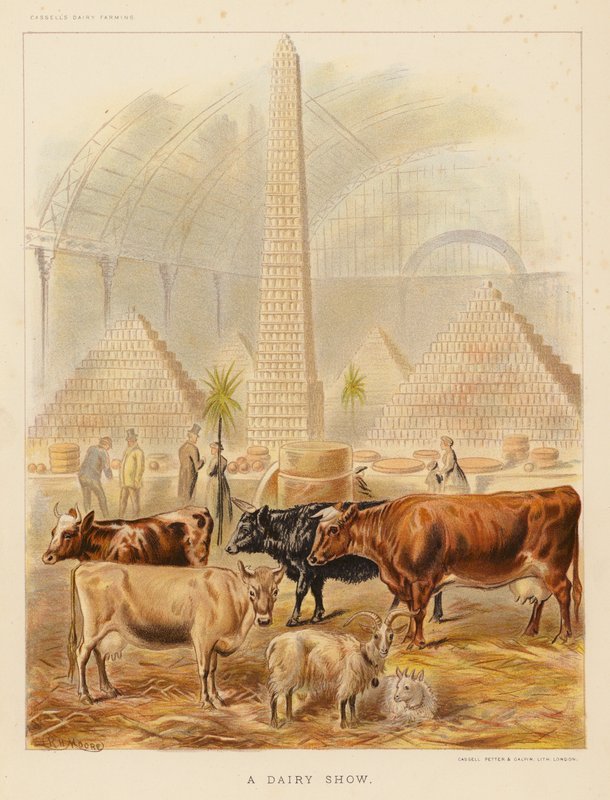 A Dairy Show (färglitografi) av English School