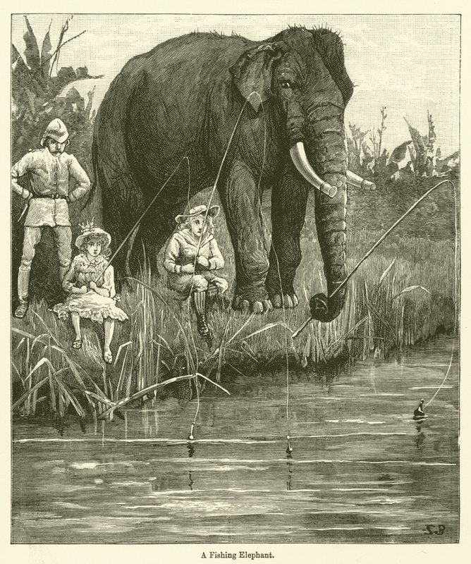 En fiskeelefant (gravyr) av English School