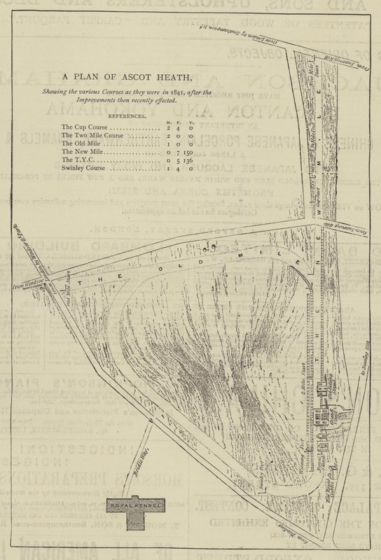 A Plan of Ascot Heath (gravyr) av English School