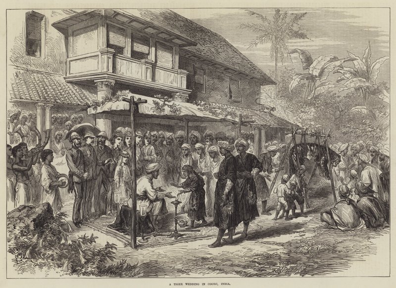 Ett tigerbröllop i Coorg, Indien (gravyr) av English School